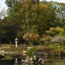 Ogród Japoński - Japanese garden - 日本庭園 - panoramio